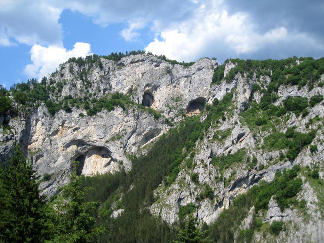 Къща Край Реката - Триград Buitenkant foto