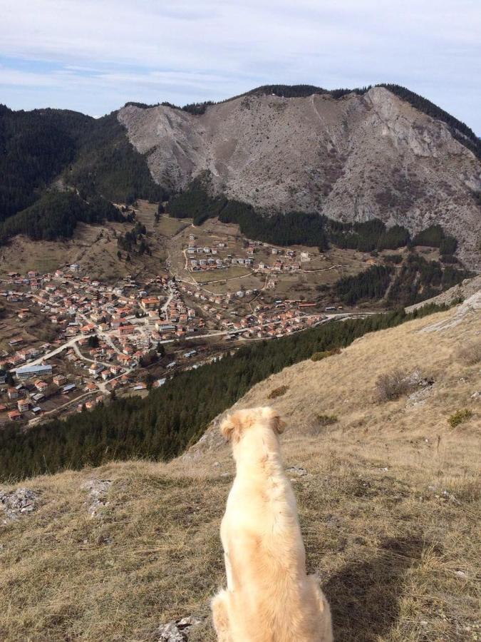 Къща Край Реката - Триград Buitenkant foto