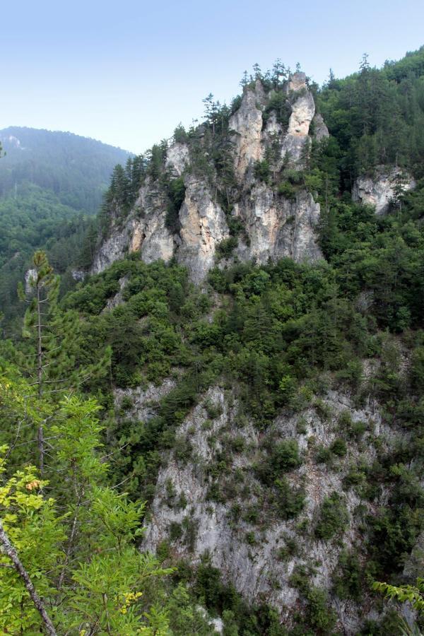 Къща Край Реката - Триград Buitenkant foto